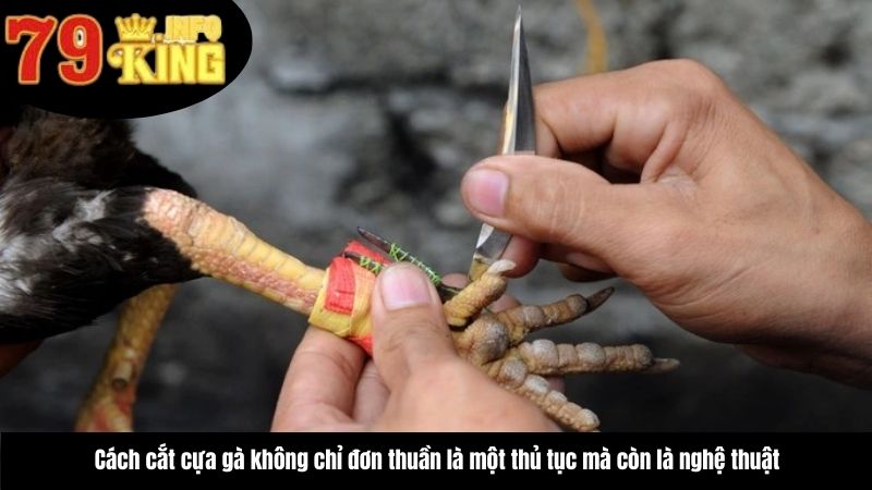 cach-cat-cua-ga