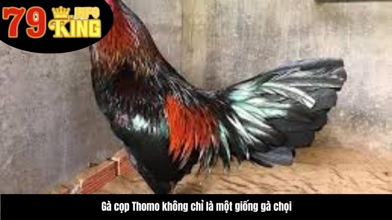 ga-cop-thomo