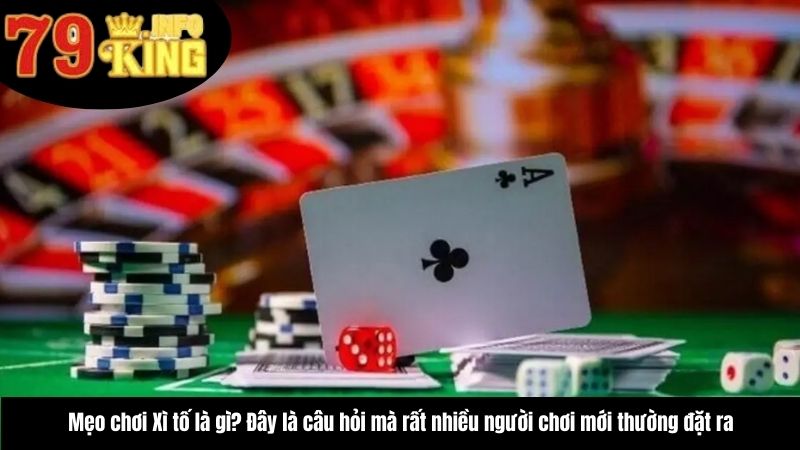 meo-choi-xi-to-la-gi