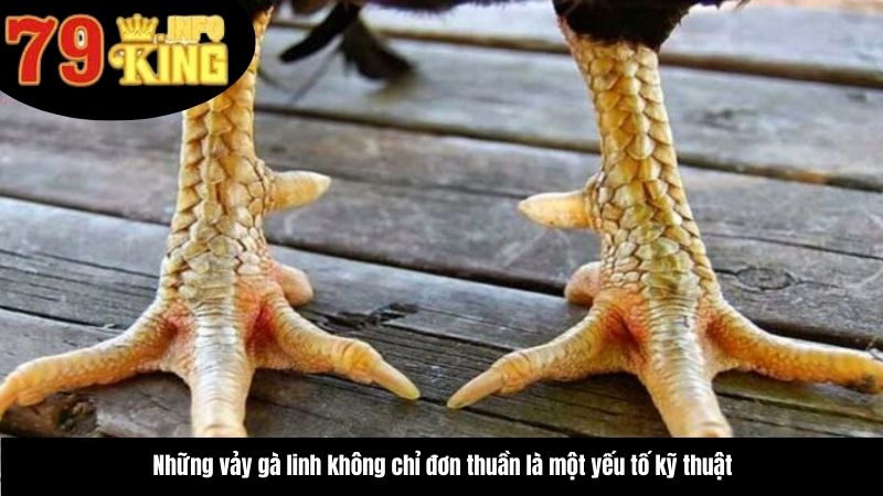 nhung-vay-ga-linh